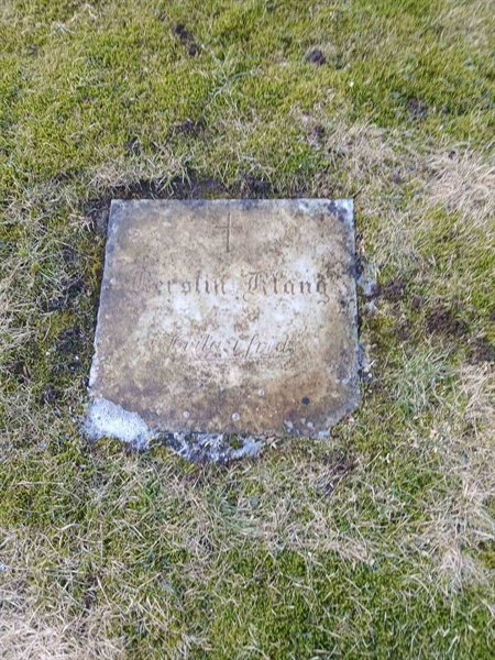 Gravnummer: 2 7   36