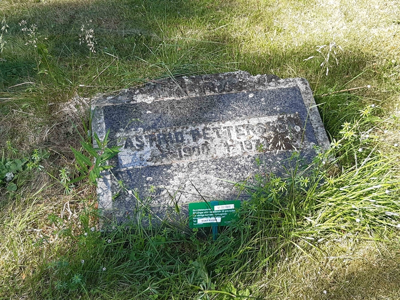 Grave number: VI 02   666