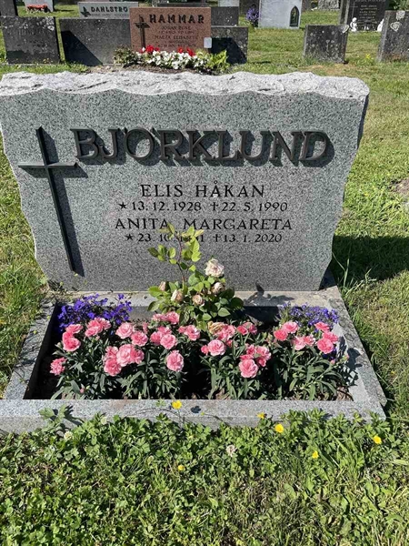 Hautatunnus: N 5 2   182