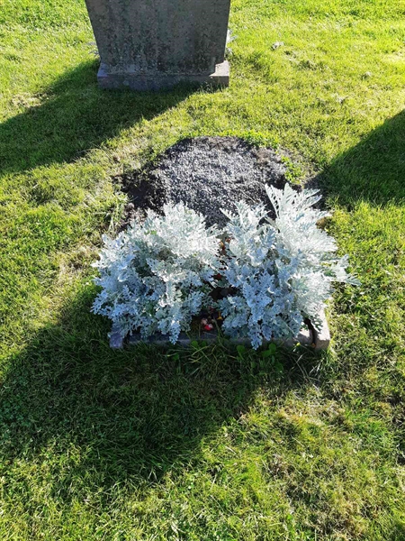 Grave number: Fr 8   283