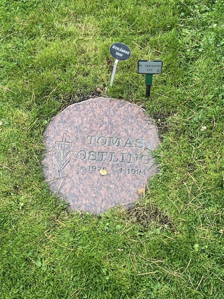 Hautatunnus: 2 C   423