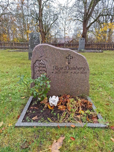 Grave number: F V A   195-196