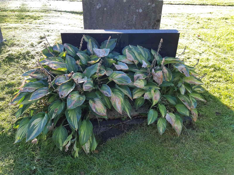 Grave number: Fr 7   328-329