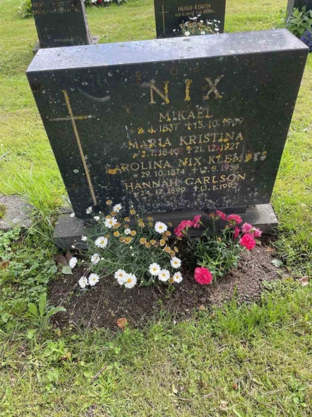 Grave number: N 4 2   286