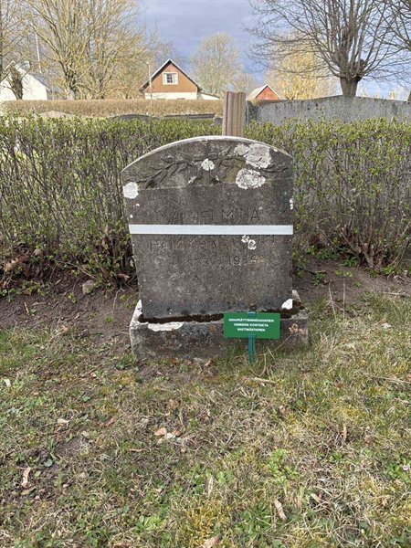 Gravnummer: LO   135