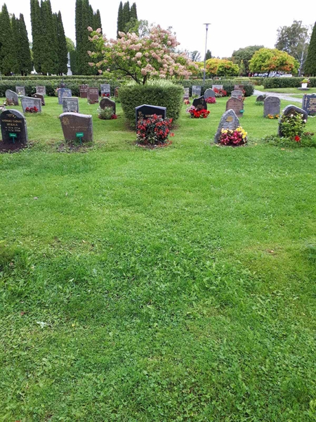 Gravnummer: NK F D   253