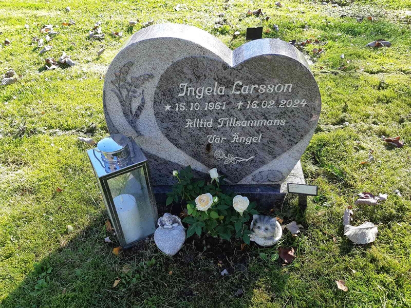 Grave number: Fr 7   619