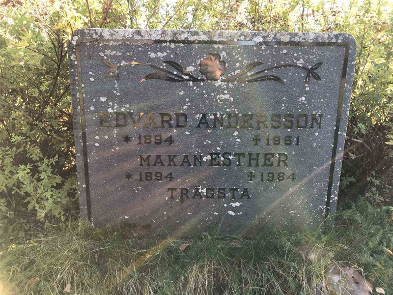 Grave number: HN IV   110