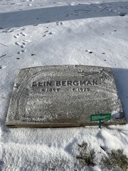 Gravnummer: SJ A    53