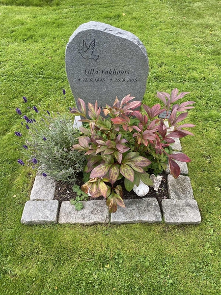 Hautatunnus: 2 C    80-81