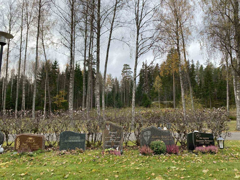 Grave number: 1 29     42