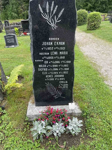 Gravnummer: N 4 4   509