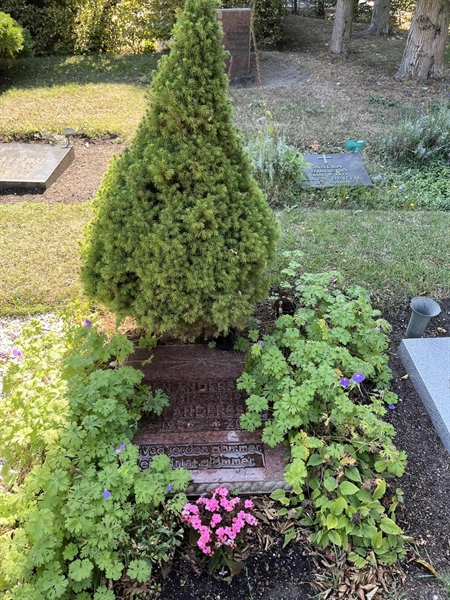 Grave number: NK X:u   109