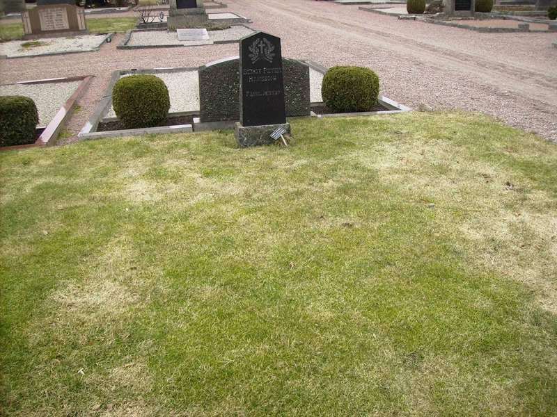 Grave number: LM 3 25  008