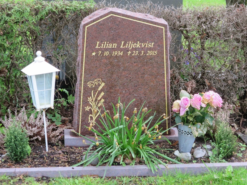 Grave number: HÖB 71   264