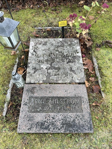 Hautatunnus: 1 U10   146