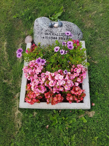 Grave number: 07 71263