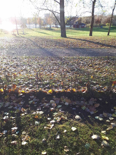 Gravnummer: GK F 3   307