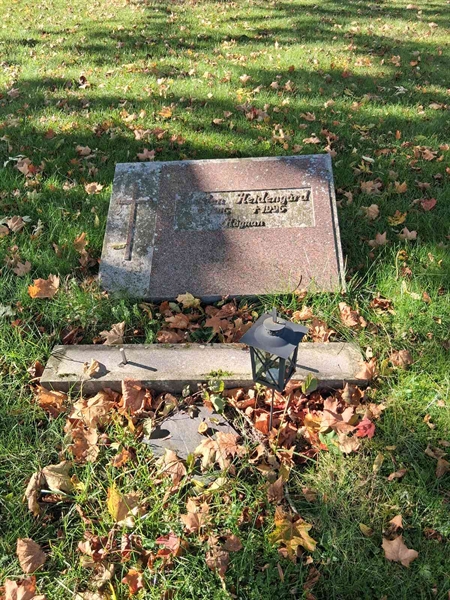 Grave number: SRG 2   206