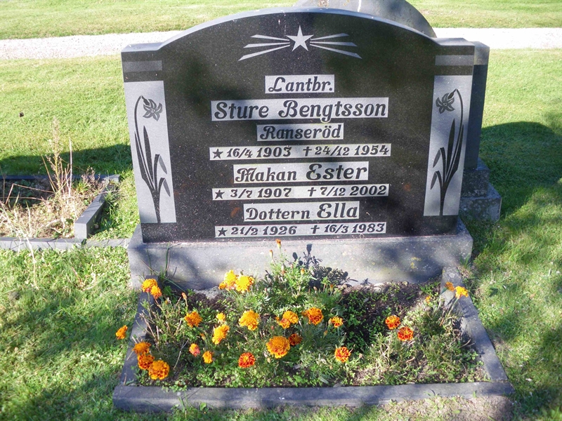 Grave number: NSK 09    38