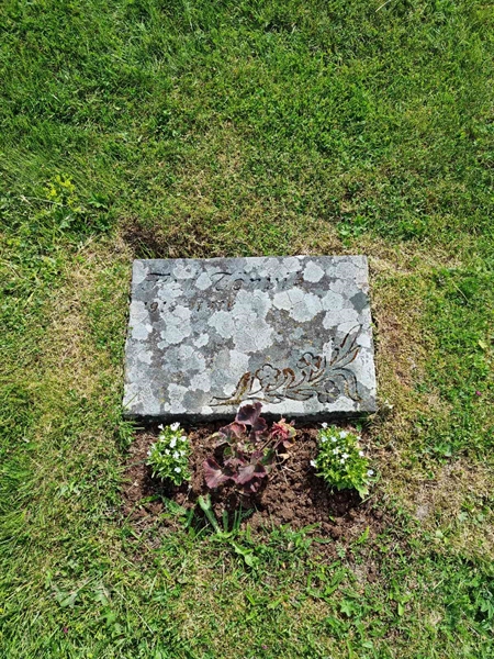 Grave number: D N 9    43