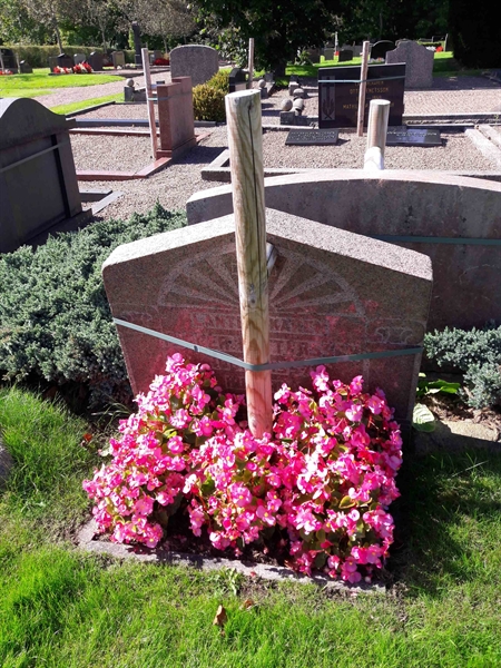 Grave number: TÖ 5   310