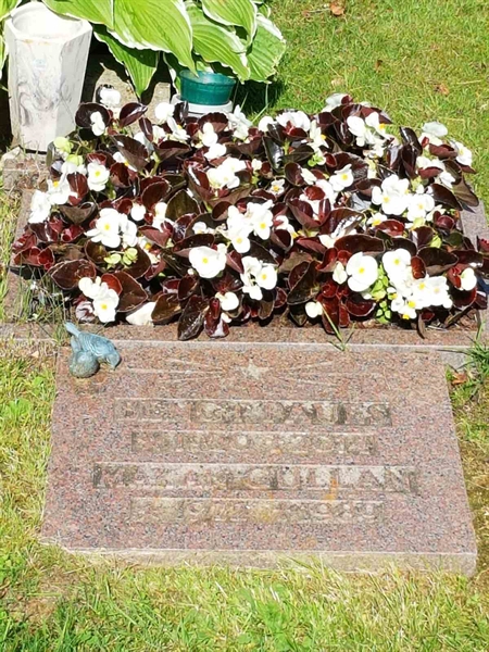 Grave number: 01   669