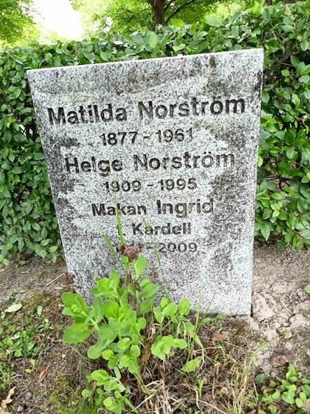 Gravnummer: 1 Ö 36   100V