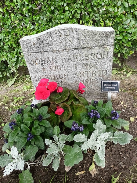 Gravnummer: 1 Ö 36   109V