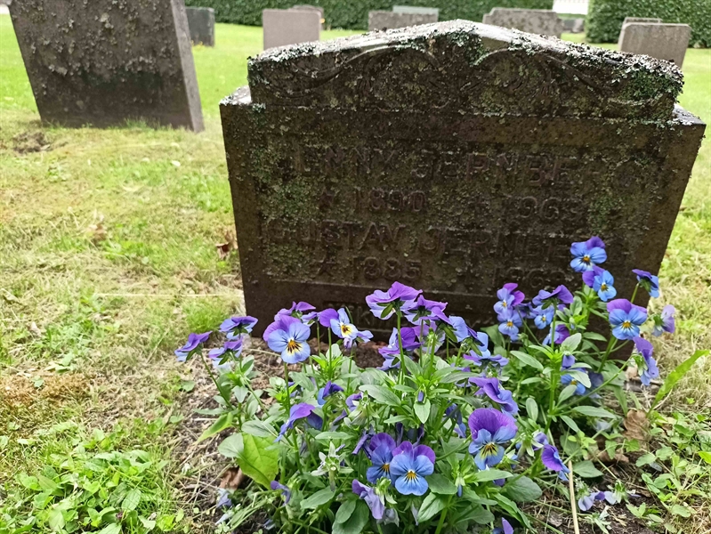 Gravnummer: 1 Ö 36   122V