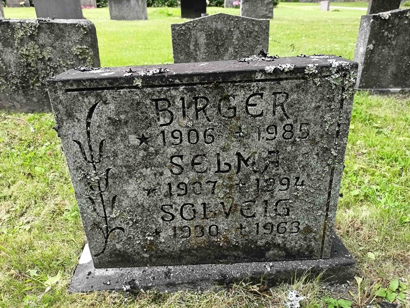 Gravnummer: 1 Ö 36   132V