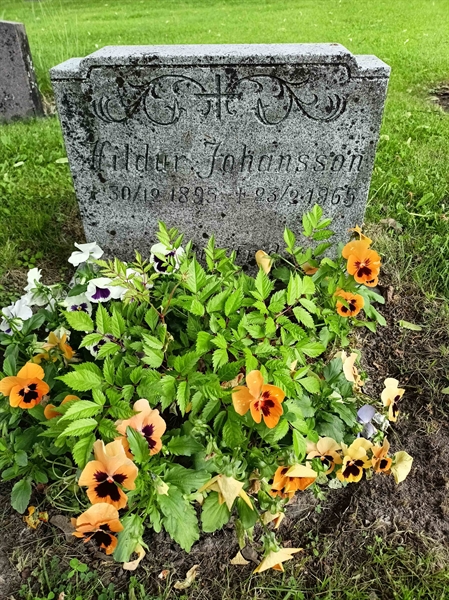 Gravnummer: 1 Ö 36   140V