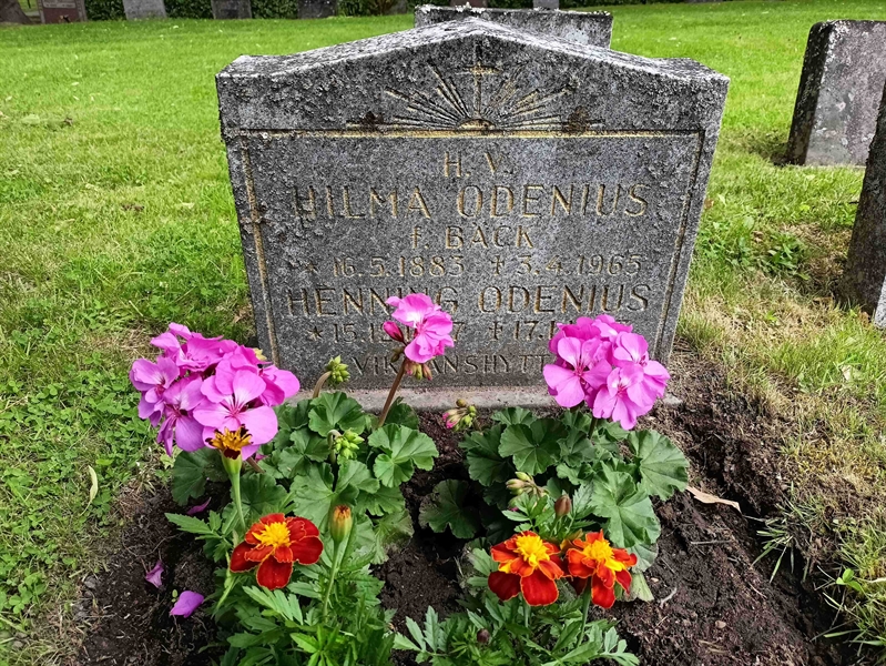 Gravnummer: 1 Ö 36   143V