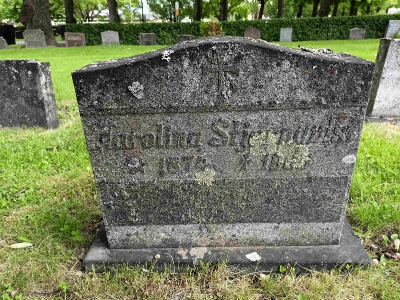 Gravnummer: 1 Ö 36   142V