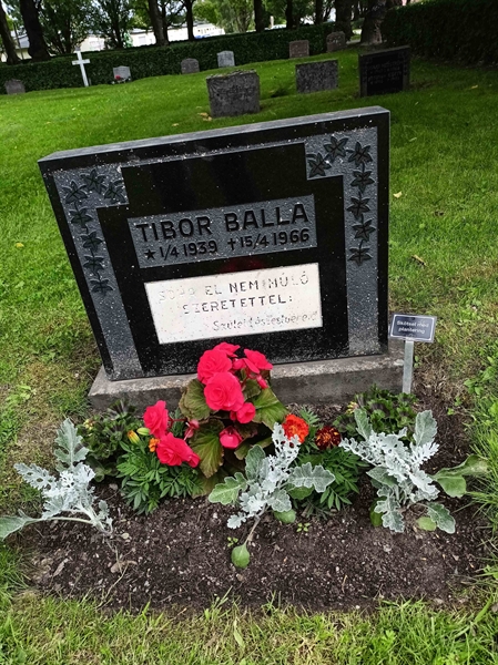 Gravnummer: 1 Ö 36   159V