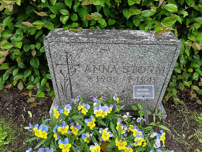 Gravnummer: 1 Ö 19    80V