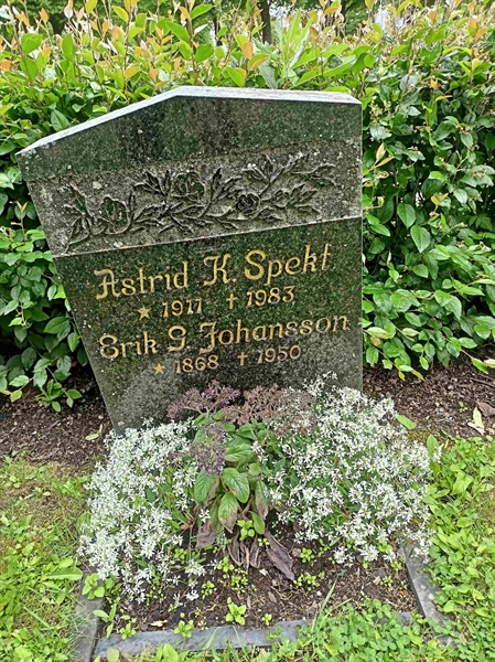 Gravnummer: 1 Ö 19    89V