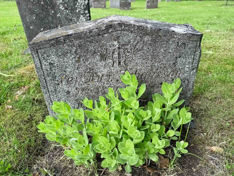 Gravnummer: 1 Ö 38    10V