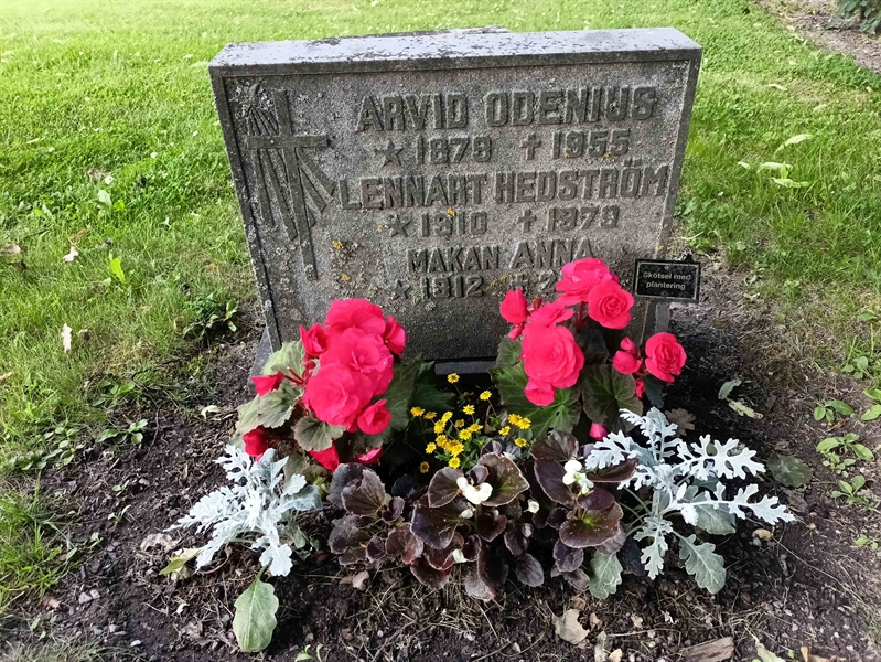 Gravnummer: 1 Ö 38     6V