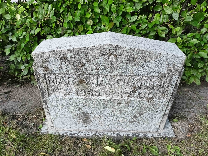 Gravnummer: 1 Ö 38    85V