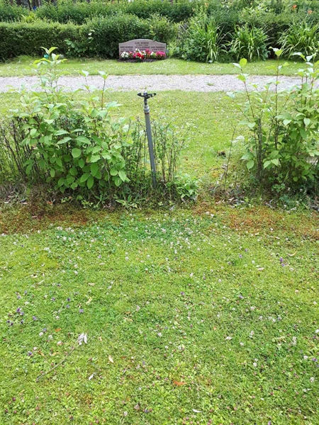 Gravnummer: GK F 5   429