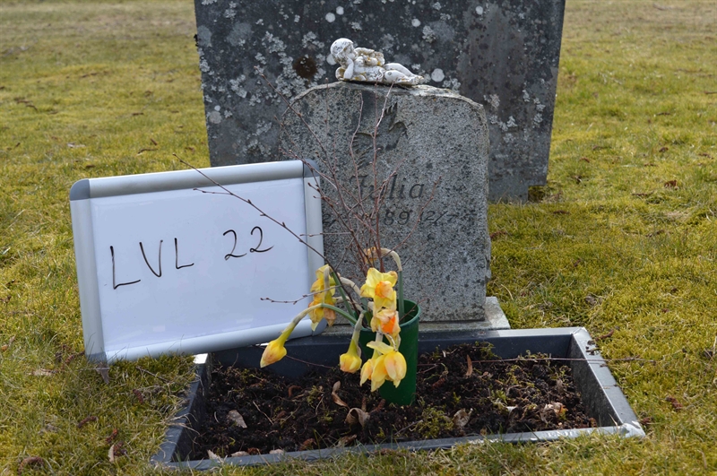 Grave number: LV L    22