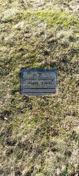 Hautatunnus: 3 Nya E   136