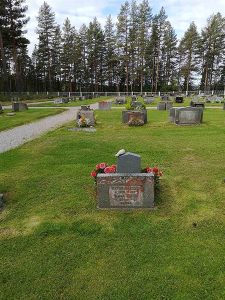 Hautatunnus: VLM 04    20:1-2