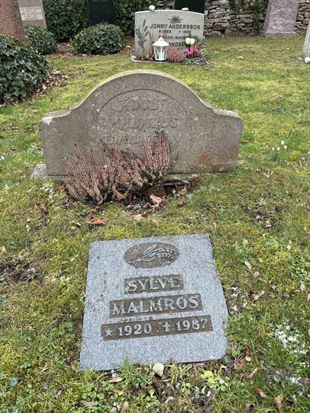 Gravnummer: LE   162, 163