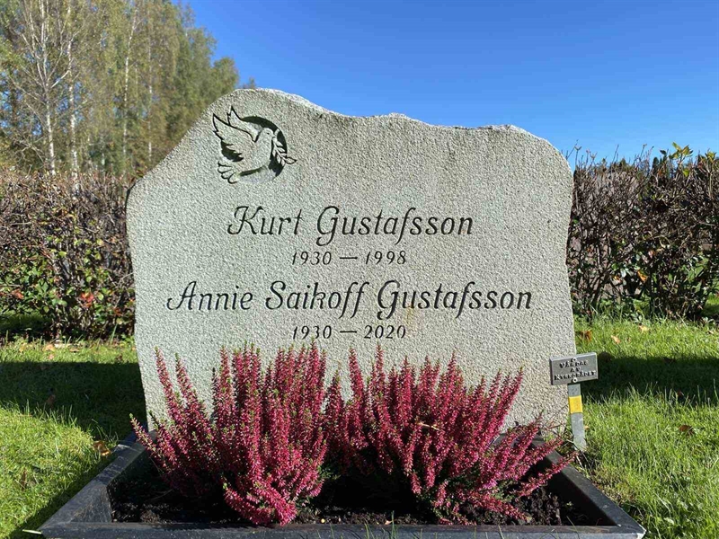 Gravnummer: 1 22    119