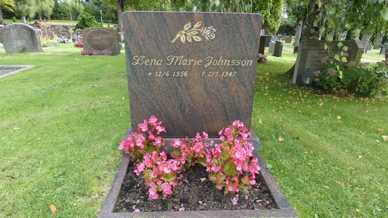 Grave number: SN D   154