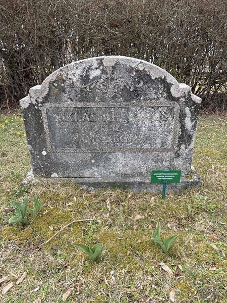 Grave number: LO 64, 65