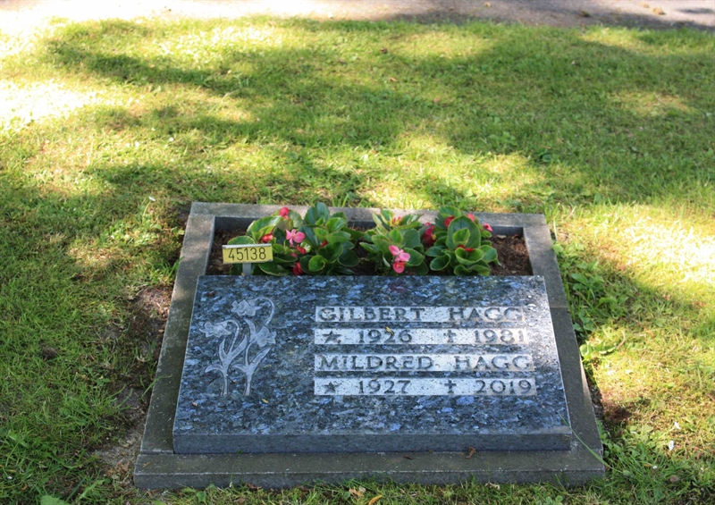 Grave number: Ö 45   138