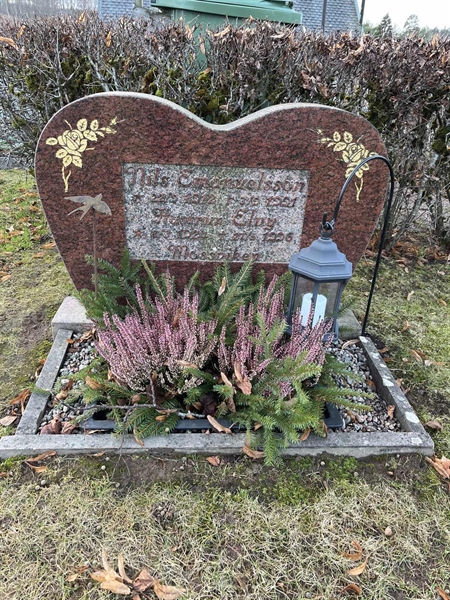 Hautatunnus: Vårv Kv5 23+24